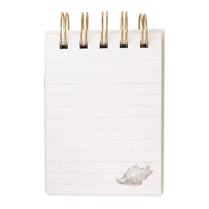 Seaside Nature Field Notebook Seashell page