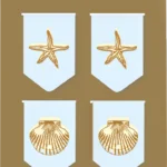 Magnetic i-Clip seashells